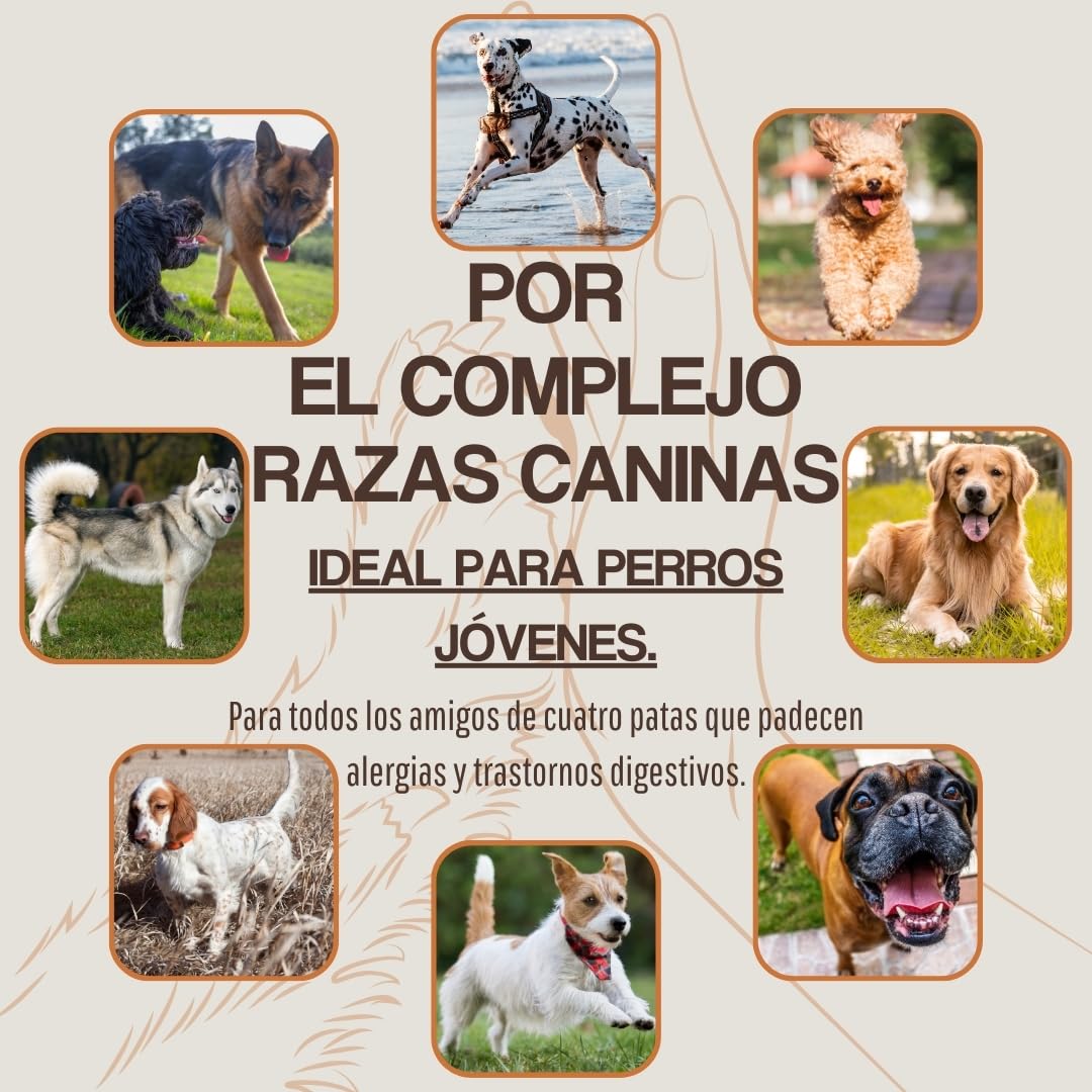 WEPO Golosinas para perros – 1 kg de pulmón de vacuno seco – aperitivos saludables – Dog Treats – Saludable y fabricado en el Reino Unido – Suministra proteínas, vitaminas y