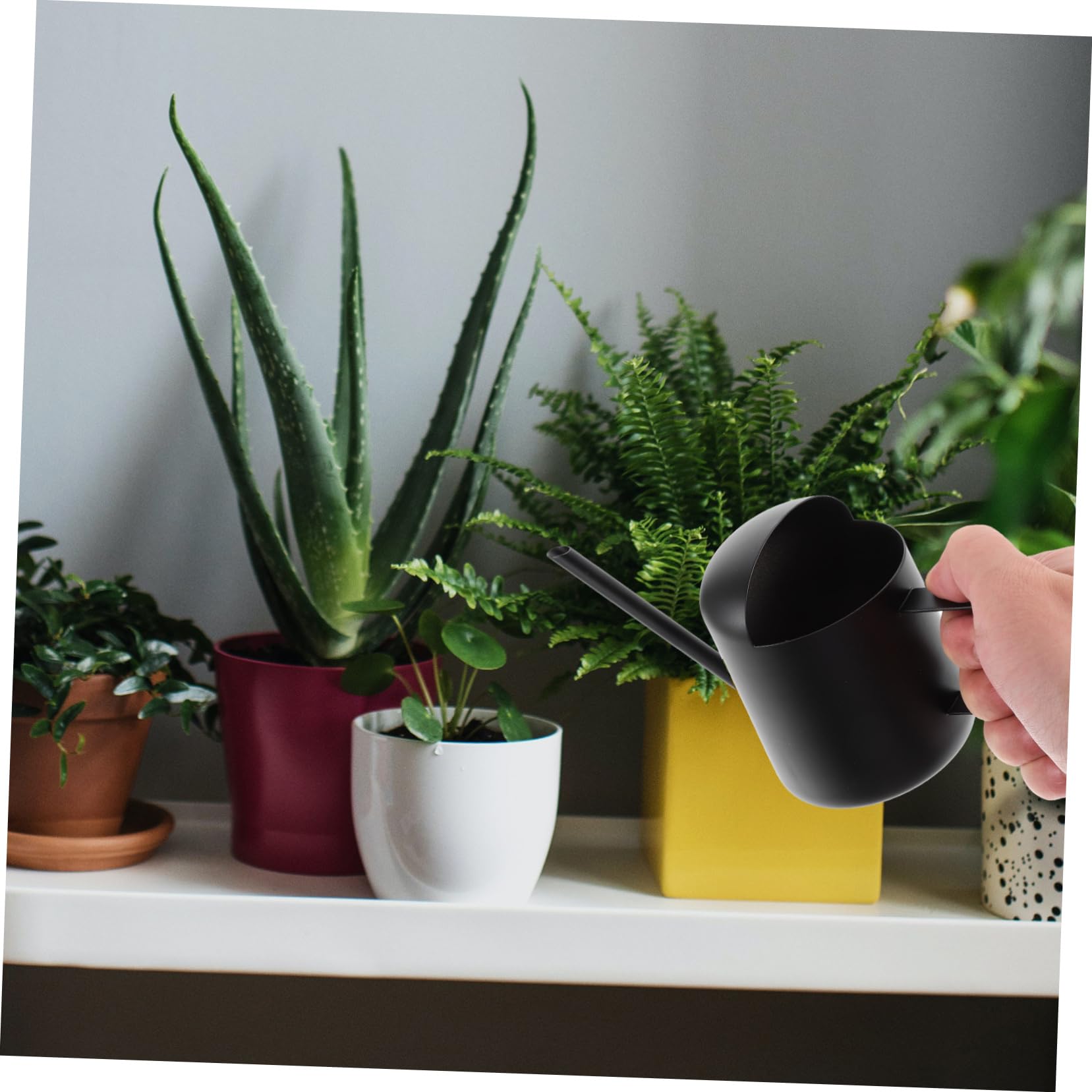 Hemobllo 2 Piezas Regadera de Inoxidable de Plantas de Interior Regadera con Jardinería Reducidos