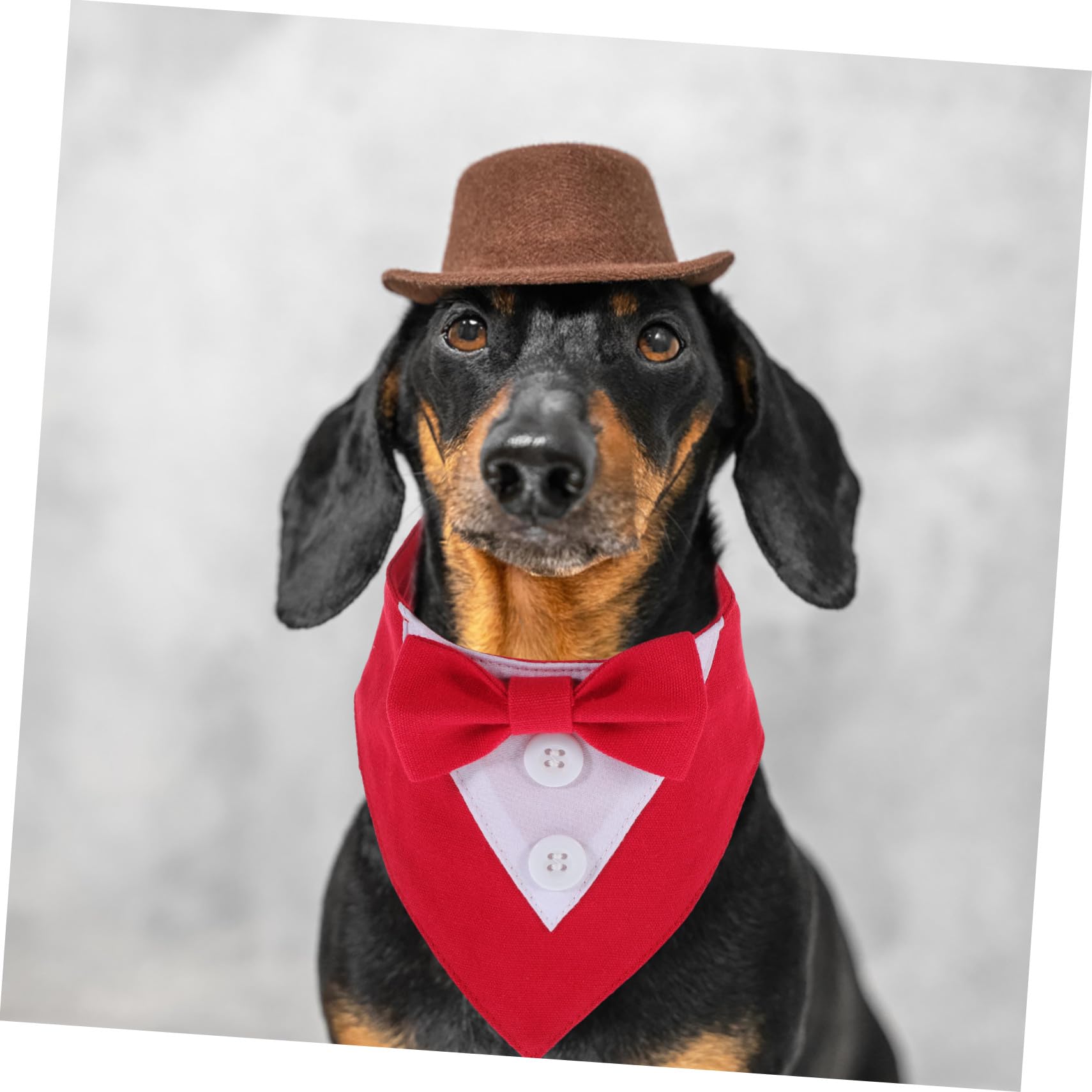 VICASKY 4 Pièces Bandana Chien Mariage avec Nœud Foulard Élégant pour Fête et Cosplay pour Chiot et Chat XS Rouge Accessoire Costume Cérémonie
