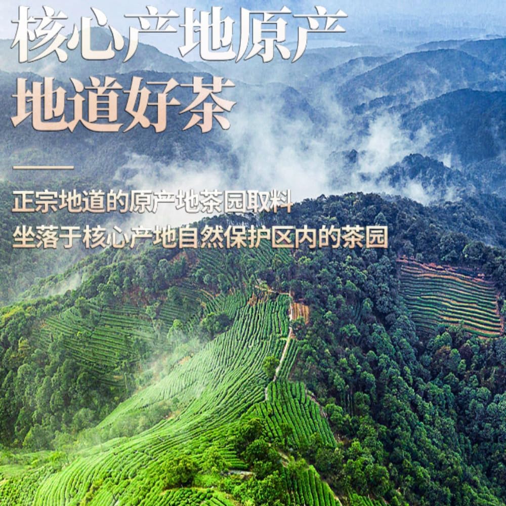 Herbata Premium Dahongpao - Herbata Oolong W Big Red Robe - Prezent Na Chińską Herbatę - Indywidualnie Pakowane Torebki Na Herbatę