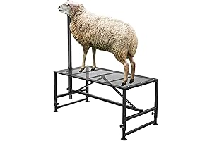 VEVOR Sturdy Sheep Stand - The Perfect Tool for Effortless Livestock Handling