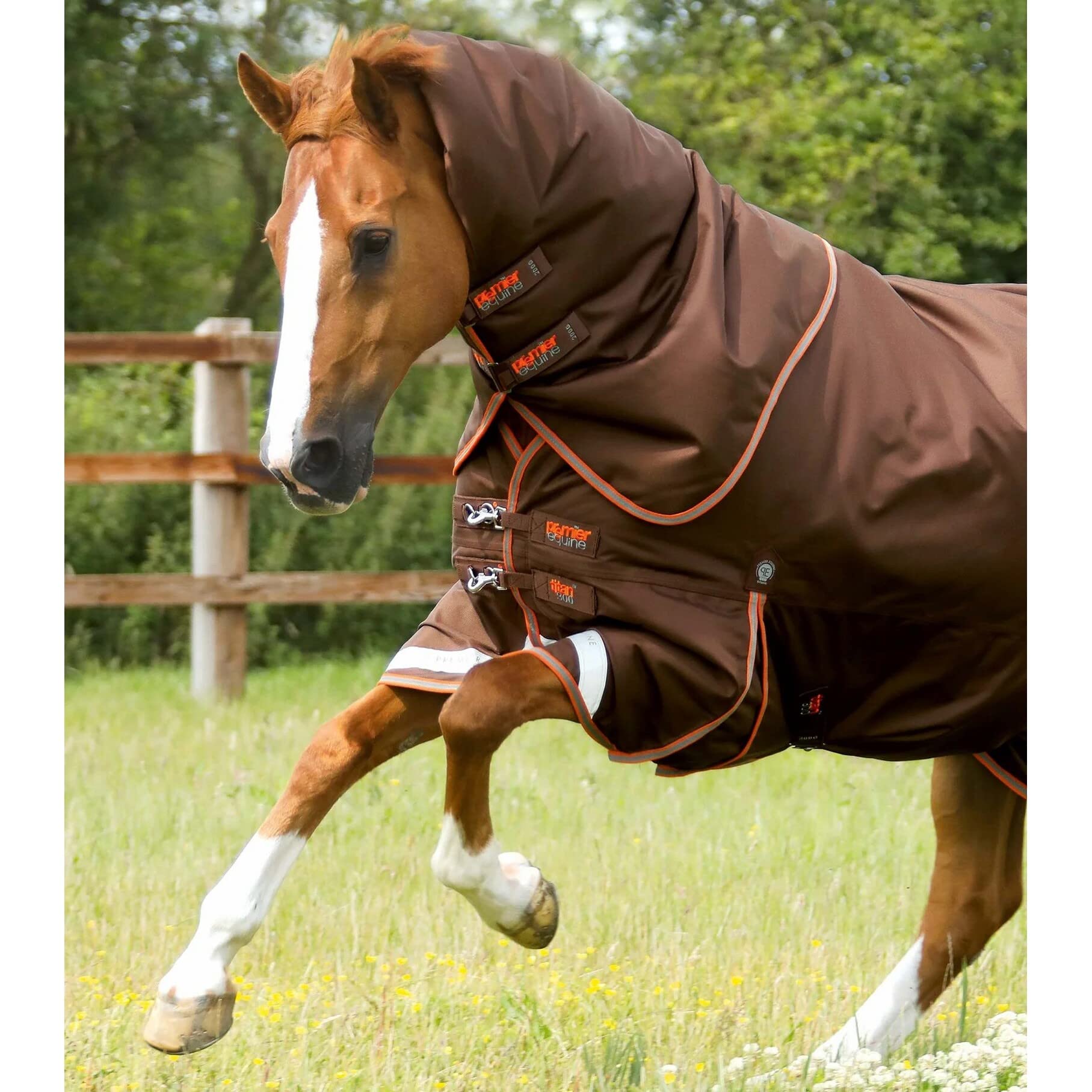 Coperta per cavalli da esterno con copricollo Premier Equine Titan 300 g