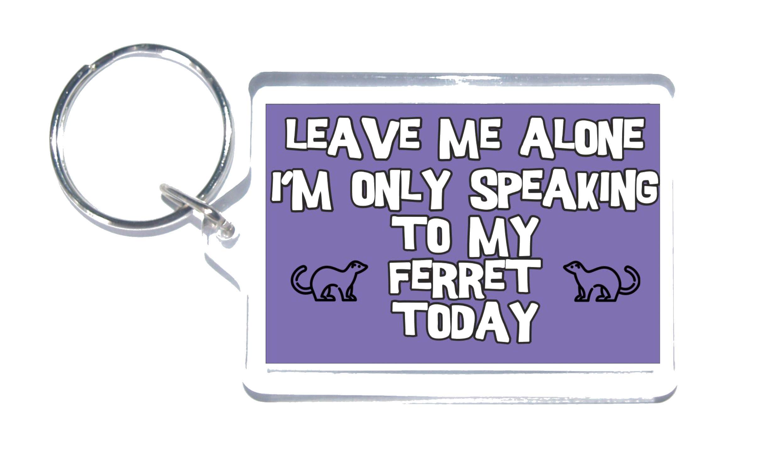 Clare's Cosmetics Purple Fun Ferret Gift - Leave Me Alone, I'm Only Talking To My Ferret Today - Novelty Keyring - Ideal Present For Christmas