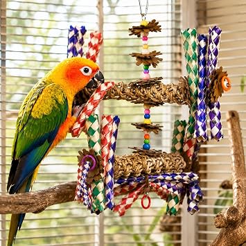 Bonka Bird Toys 1241 Double Helix 11 High by 9 Wide Parrot Toy, Amazon, African Grey, Conure, and Similar Sized Birds