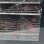 Review Image by Susan Bewley Susan Bewley