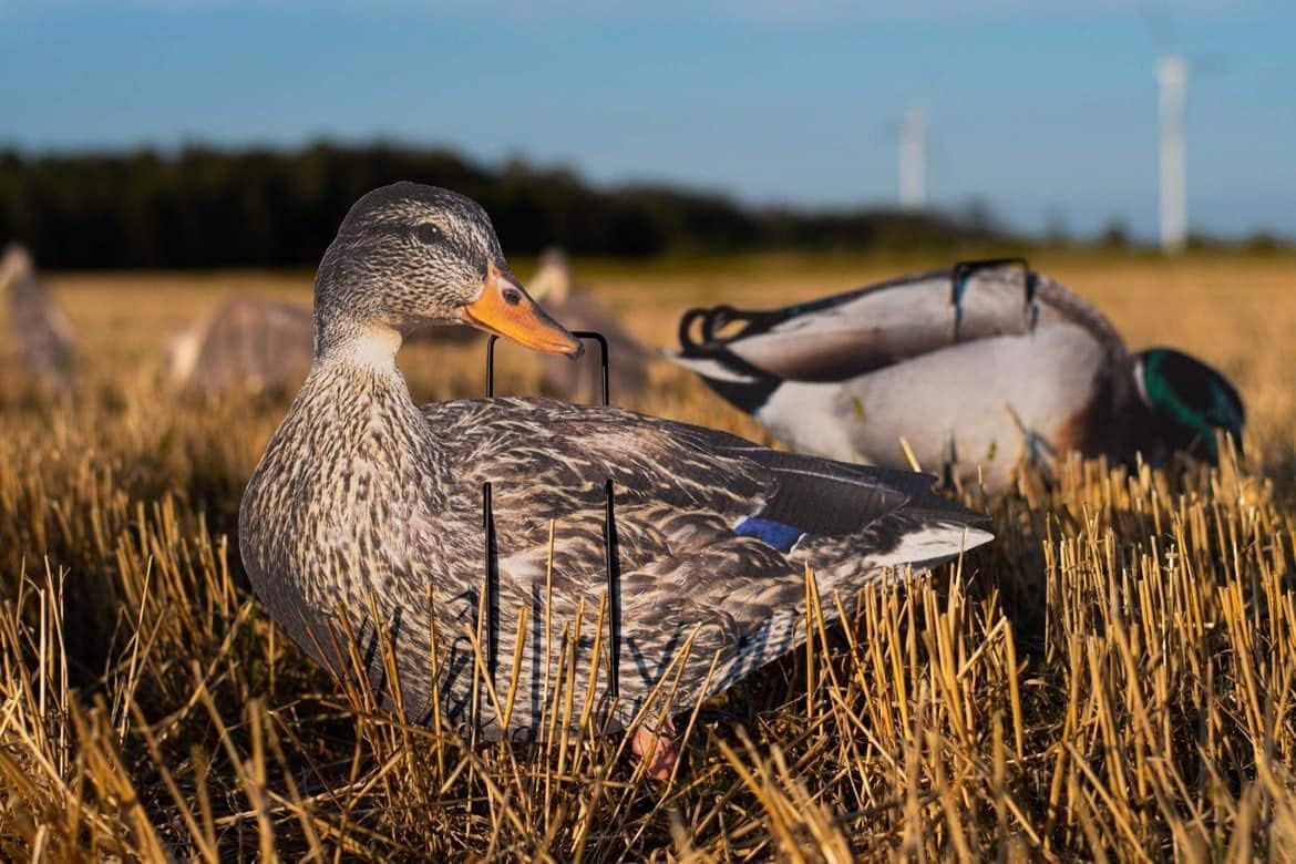 1 Doz Mallard Silhouette Duck Decoys