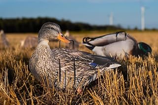 1 Doz Flocked Mallard Silhouette Duck Decoys