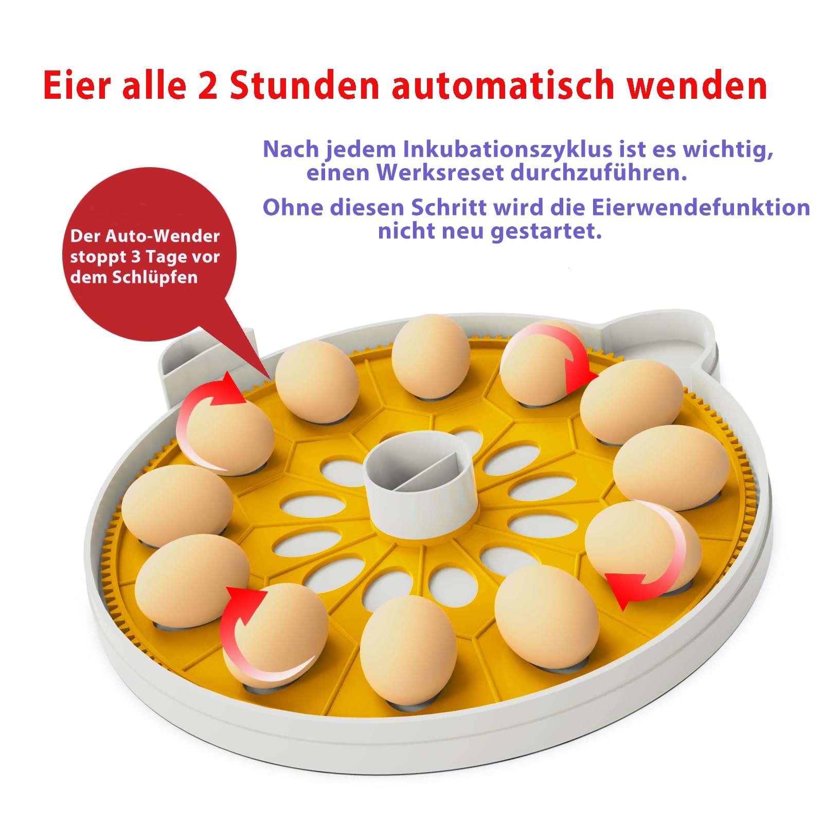 Incubadora automática de 12 huevos con control automático de humedad,Suministro de agua externo, Volteador De Huevos Automático,Contador Diario,BibiBirds Incubadora Huevo Gallina Codornices Pollito.