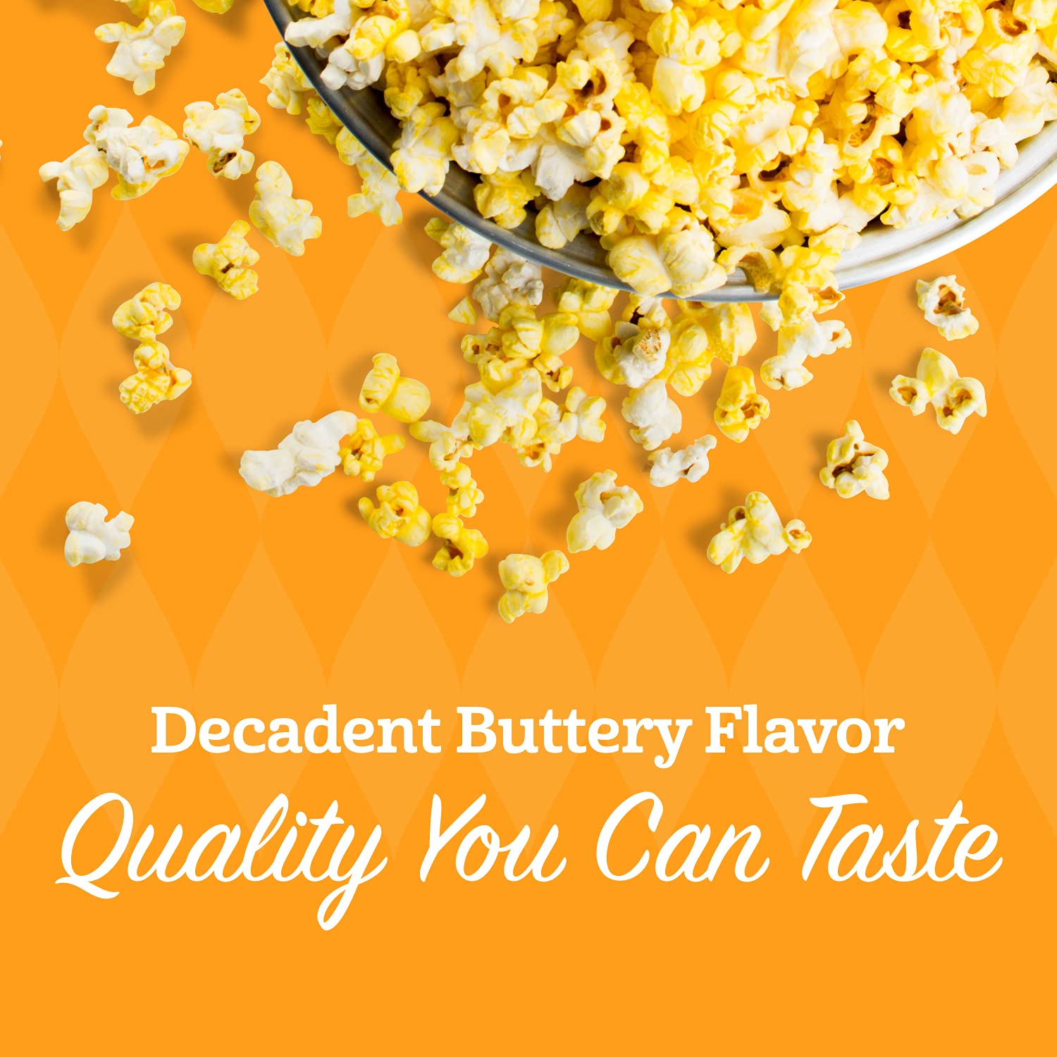 Franklin’s Gourmet Popcorn Butter Flavored Salt 19 oz. Bottle