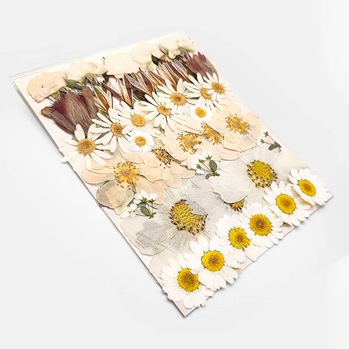 Flor prensada seca de otoño grande para resina, grandes hojas florales de presión de naturaleza real para manualidades, molde, fabricación de joyas,