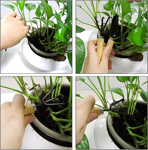 Miniatura 4 de Honbay Mini herramienta de jardín de 5 piezas, herramientas de plantación de mano, rastrillo de pala pequeña con mango de madera, herramienta de