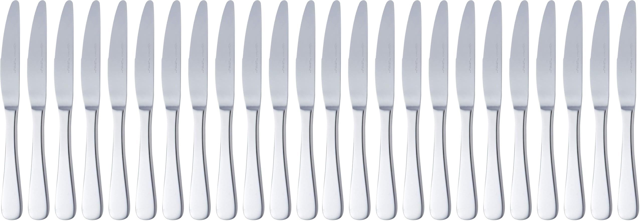 Amazon Basics Cuchillos de mesa de acero inoxidable con borde redondeado, 12 Unidad, Plateado (Paquete de 2)