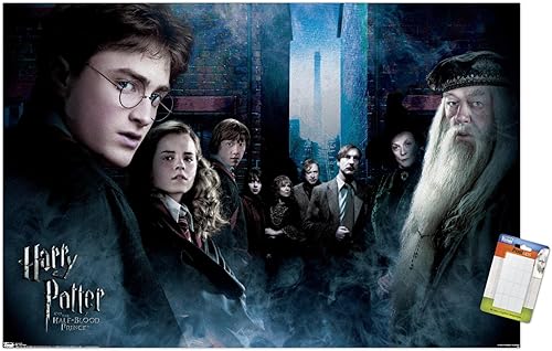 Vista 45 de Trends International Harry Potter y el príncipe mestizo - Póster de pared de la fraternidad, 22.375 x 34 pulgadas, versión premium sin marco