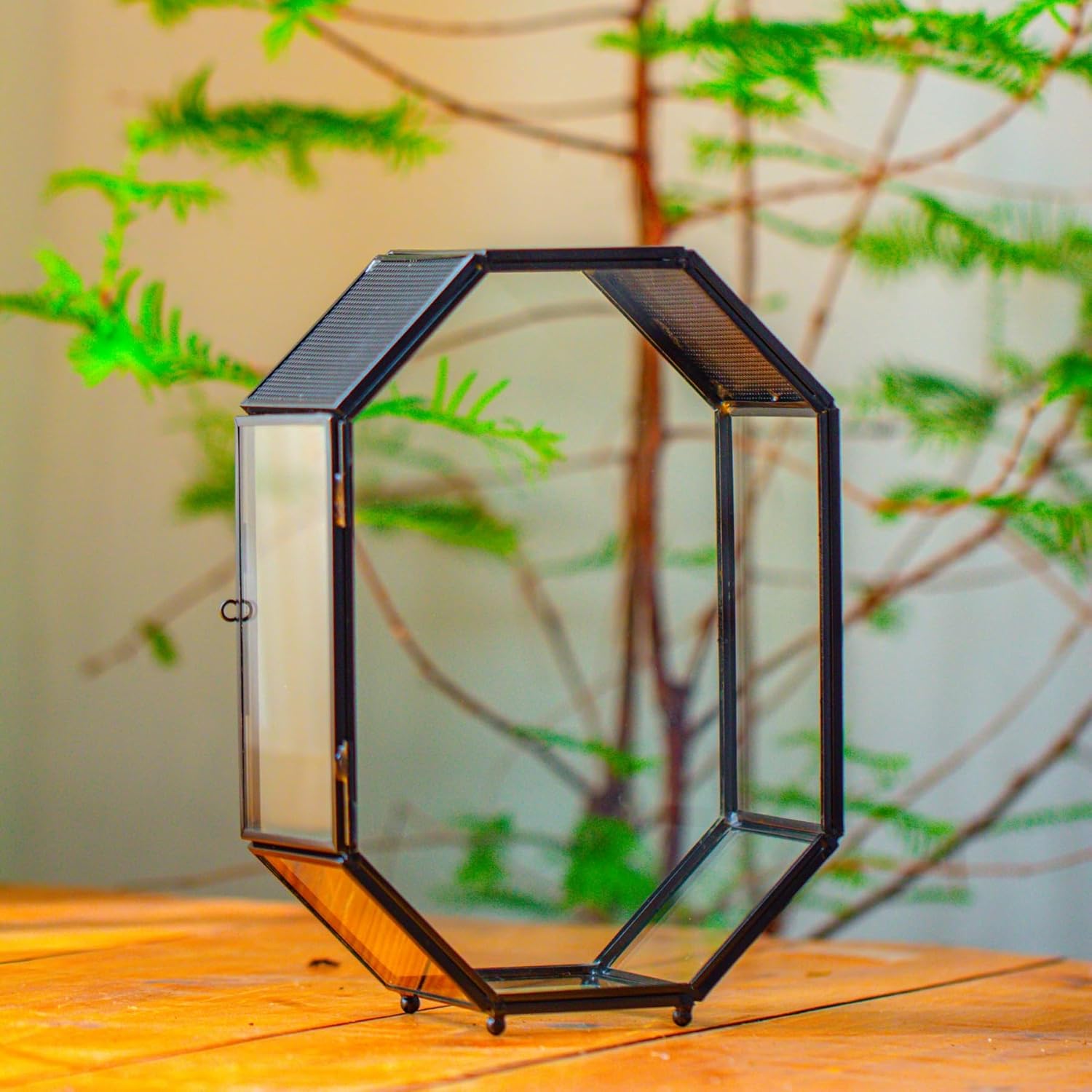NCYP Glass Enclosure Terrarium with Mesh and Door for Spiders, Small Mantis, Jumping Spider - Octagon Shape Vented Glass Terrarium 6.2 x 3.1 x 8.7 inches, Black (Plants Not Include)