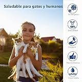 Ver la foto 3