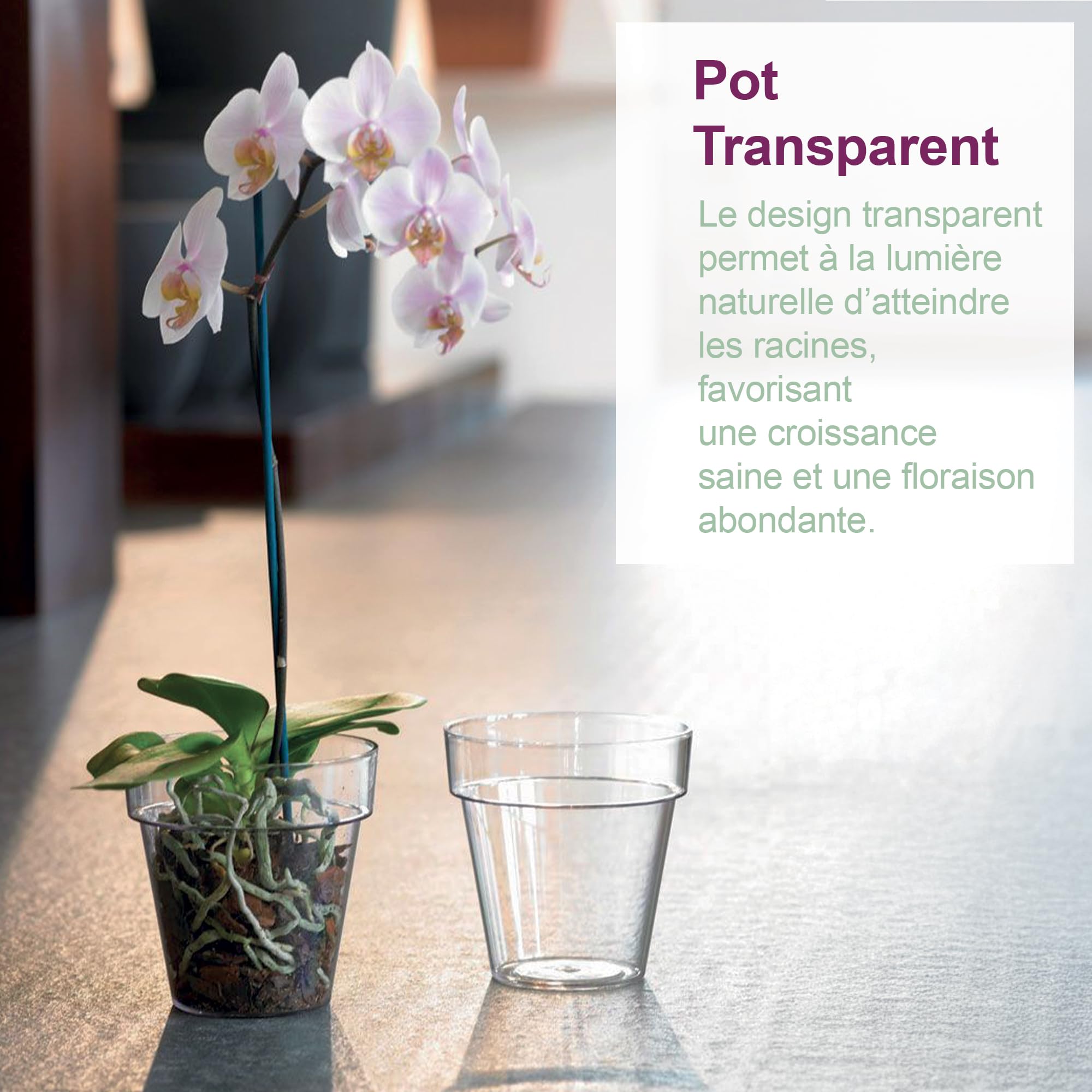 Lot de 3 Pot pour orchidées Transparent en Plastique avec Trous de Drainage et soucoupes (3 - Ø 14 cm)