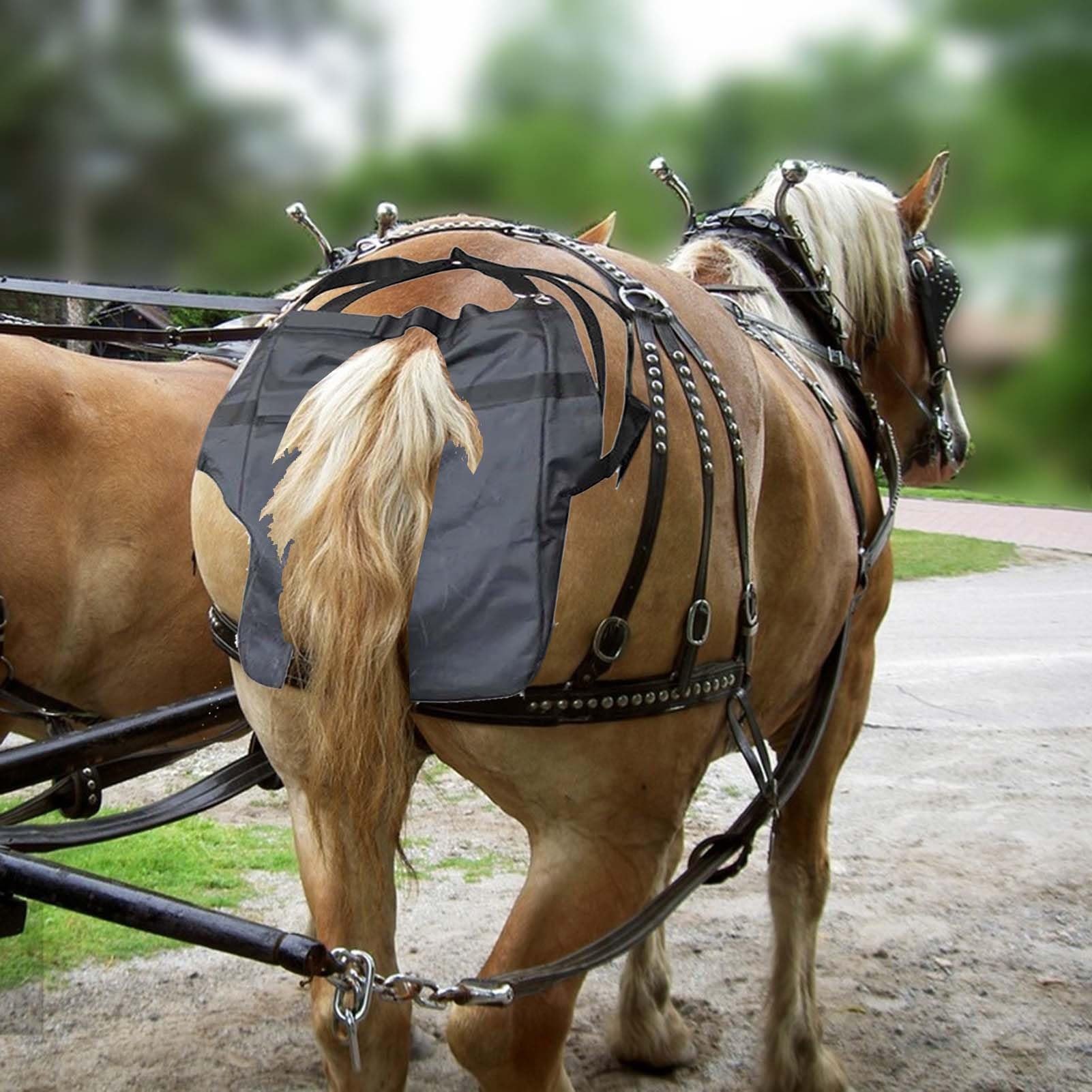 Bolsas de estiércol de caballo Pañal para Caballos de Oxford para Montar, Bolsa para Recoger Excrementos de Poni para Desfiles, Bolsa Lavable para Recoger Estiércol de Equinos.(S)