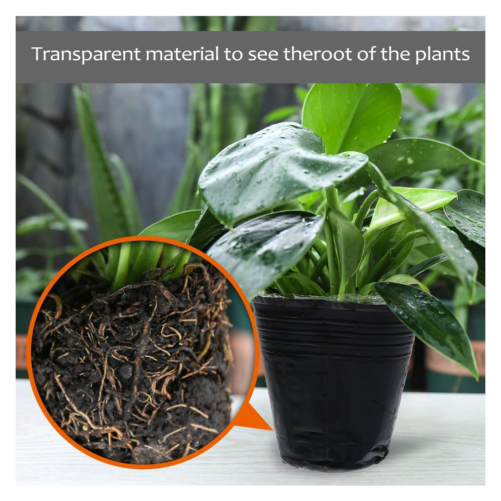 VICASKY 500 Pièces Pots de Semis Plastique avec Drainage Godets de Repiquage pour Plantes