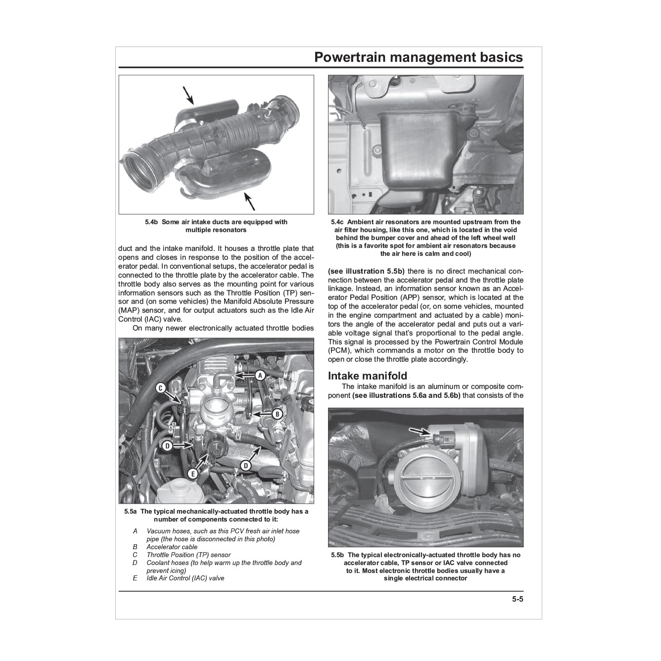 OBD-II & Electronic Engine Management Systems (96-on) Haynes TECHBOOK