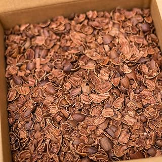 Pecan Shells (Shells Only) - Great for BBQ Smoking & Grilling, Smoker Chips, and More! - All Natural - No Wood - 17 lb Pecan Shells Box