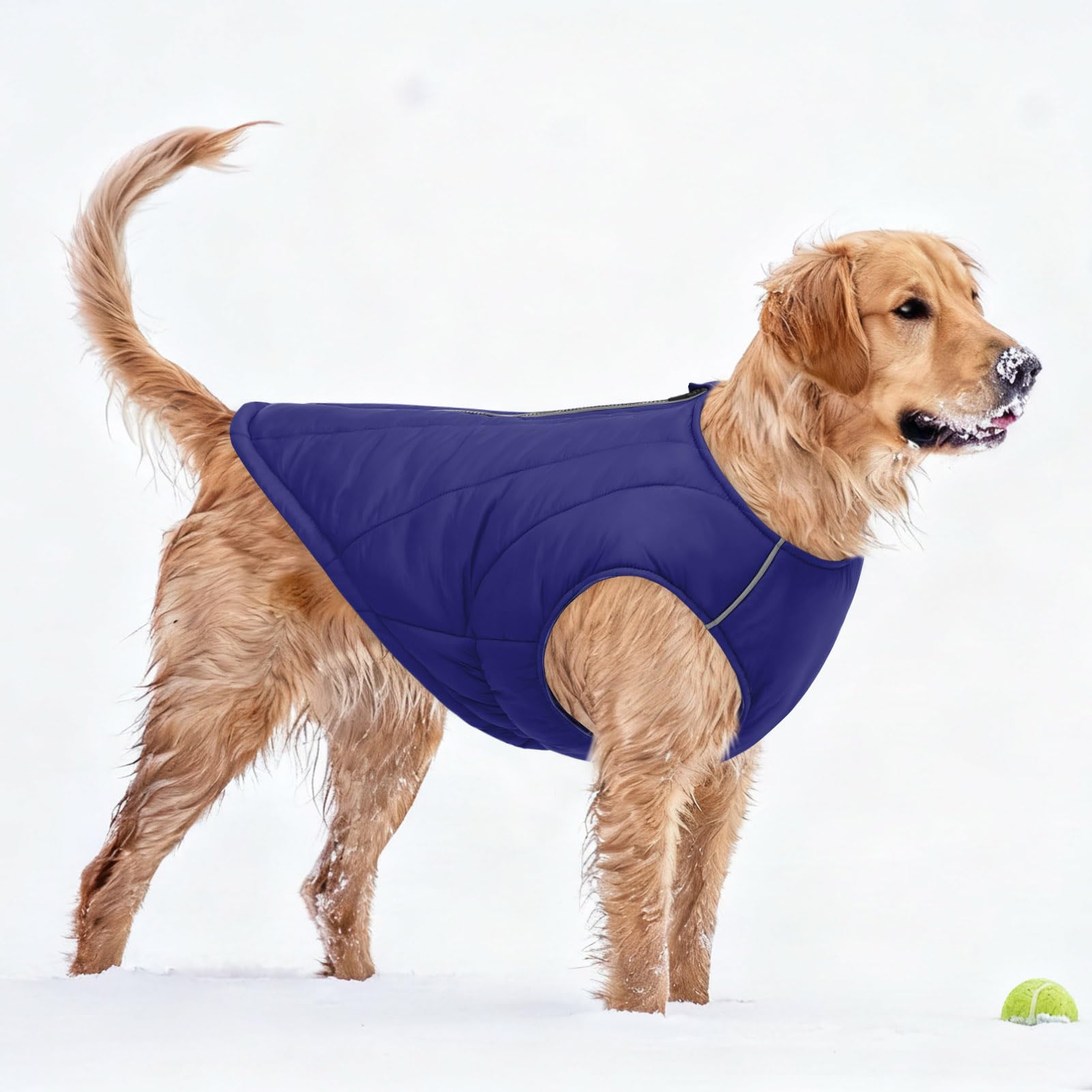 CITÉTOILE Veste Chaude pour Chien – Manteau Hiver Nylon Rembourré, Bandes Réfléchissantes et Fermeture Éclair – Design Classique Imperméable pour Temps Froid Bleu XXL