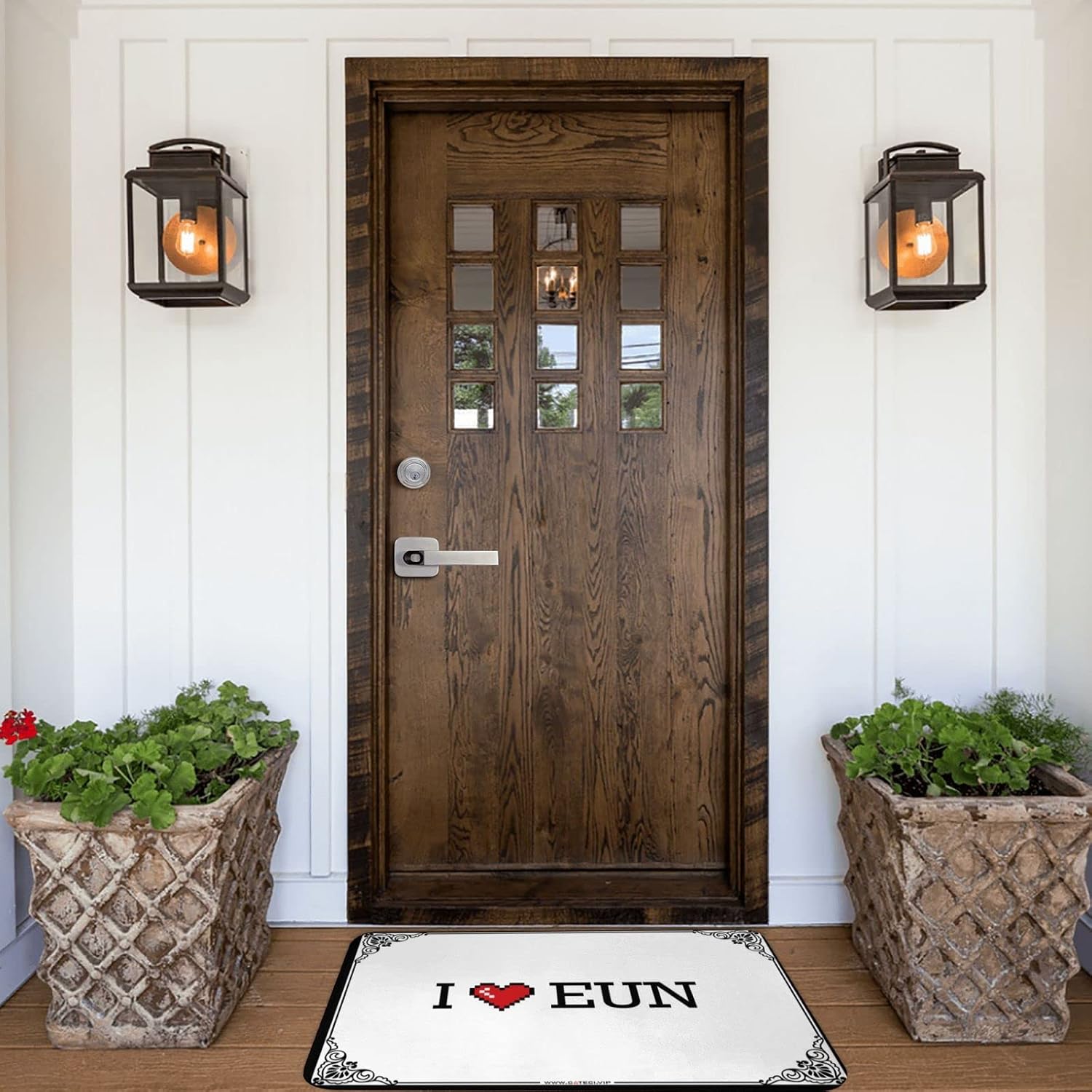 Funny Outdoor Decor I Love Eun Doormat Funny Floor Mats for Front Door Summer Floor Mat (Color : Colour, Size : 65X90CM)