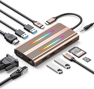 12 in 1 USB C Docking Station with