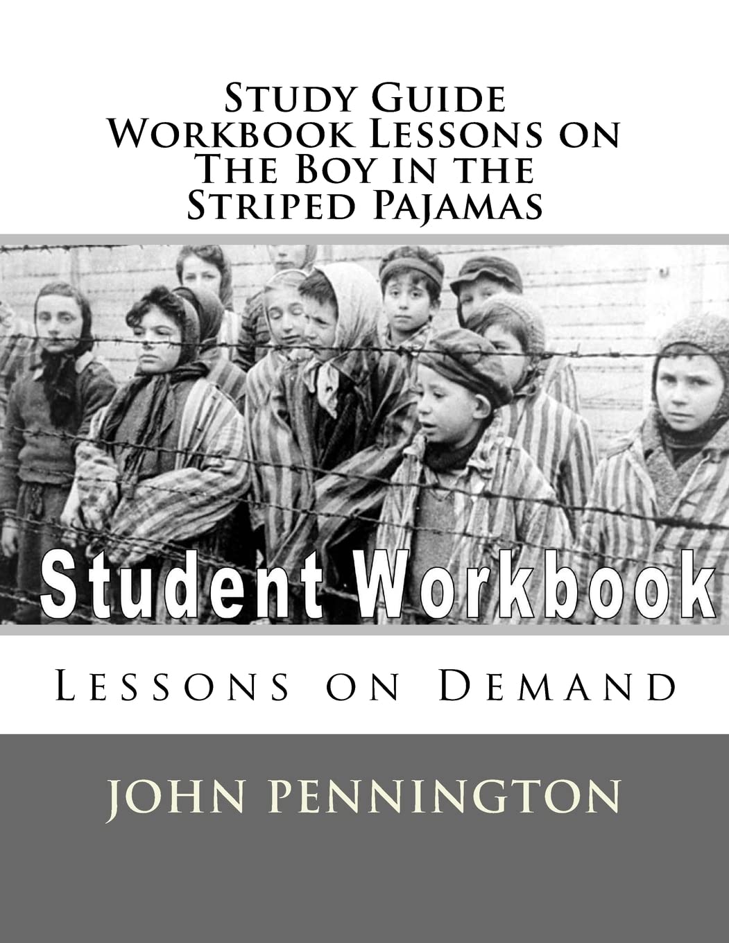 Study Guide Workbook Lessons on The Boy in the Striped Pajamas: Lessons ...