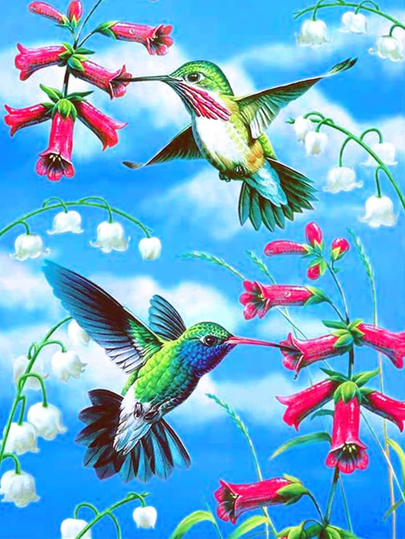 ACIOPPL Paint by Numbers for Adults Beginner Kids DIY