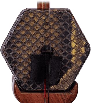 Red Sandalwood Erhu Chinese 2-string Violin Fiddle Musical Instrument with Book,DVD,Bow,Bridge&Accessories