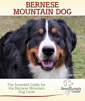 Bernese Mountain Dog A Practical Guide for the Bernese Mountain Dog Lover Breed Lovers Guide