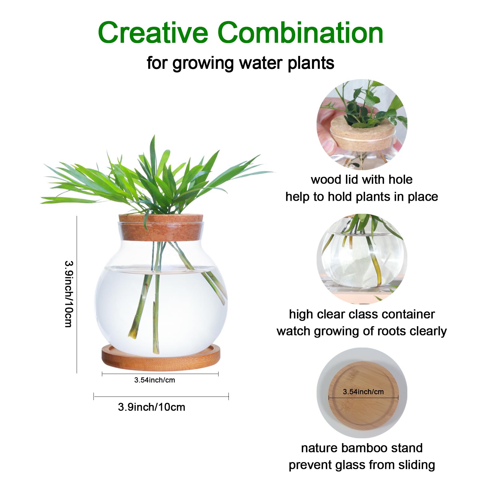 Tabletop Plant Propagation Station,Aquatic Plant Culture Glass Mini vase,with Wooden Dish?Gifts for Plant Lovers, Suitable for desks, House, Garden Decorations (2pcs)