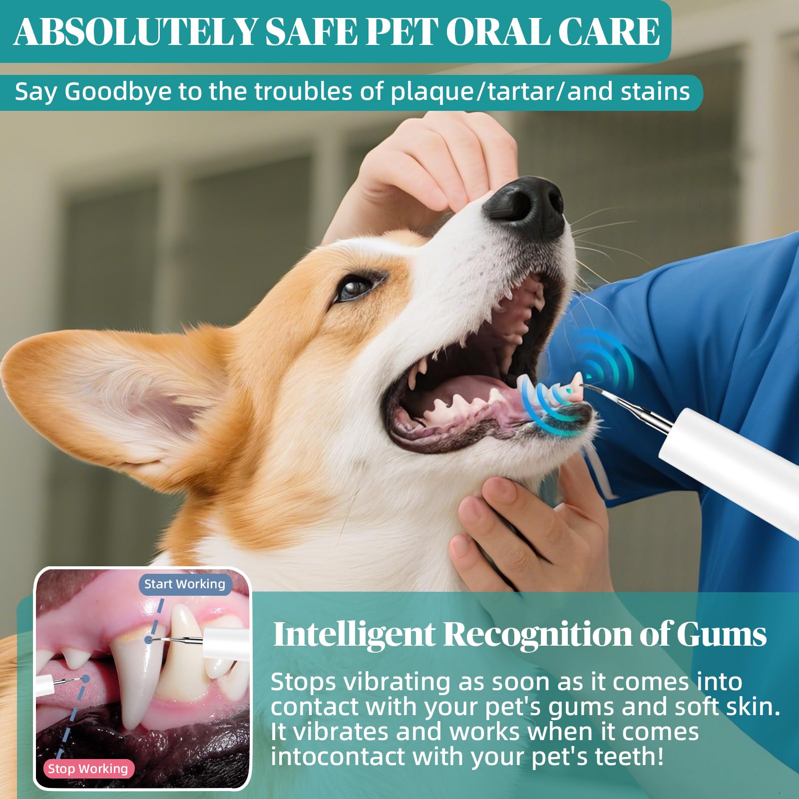 Plaque Remover for Teeth, Pet Tooth Cleaner - Image 3