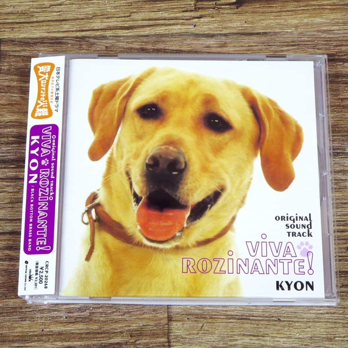 愛犬 ロシナンテ の 災難