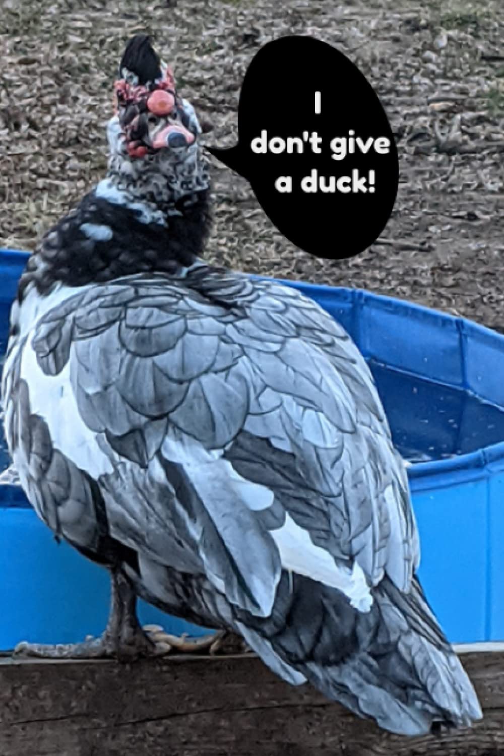 I Don't Give A Duck!: 150 Page Notebook, Full 6" x 9" College Rule Pages