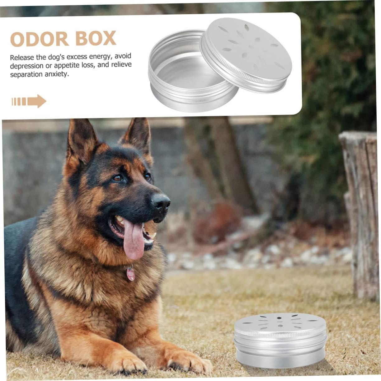COLLBATH 3sets Nose Work Tin Dog Training Tool 80ml Scent Training Box for Puppies 6pcs*3
