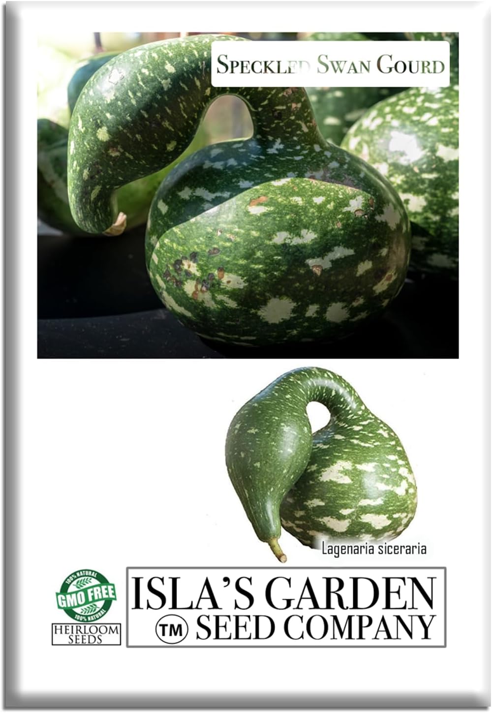 Speckled Swan Gourd Seeds (Lagenaria siceraria 'Speckled Swan') –15 Non-GMO Heirloom Seeds by Isla’s Garden Seeds, Unique Swan-Like Shape w/Decorative Speckles, Ideal for Crafts, Fall Displays & More