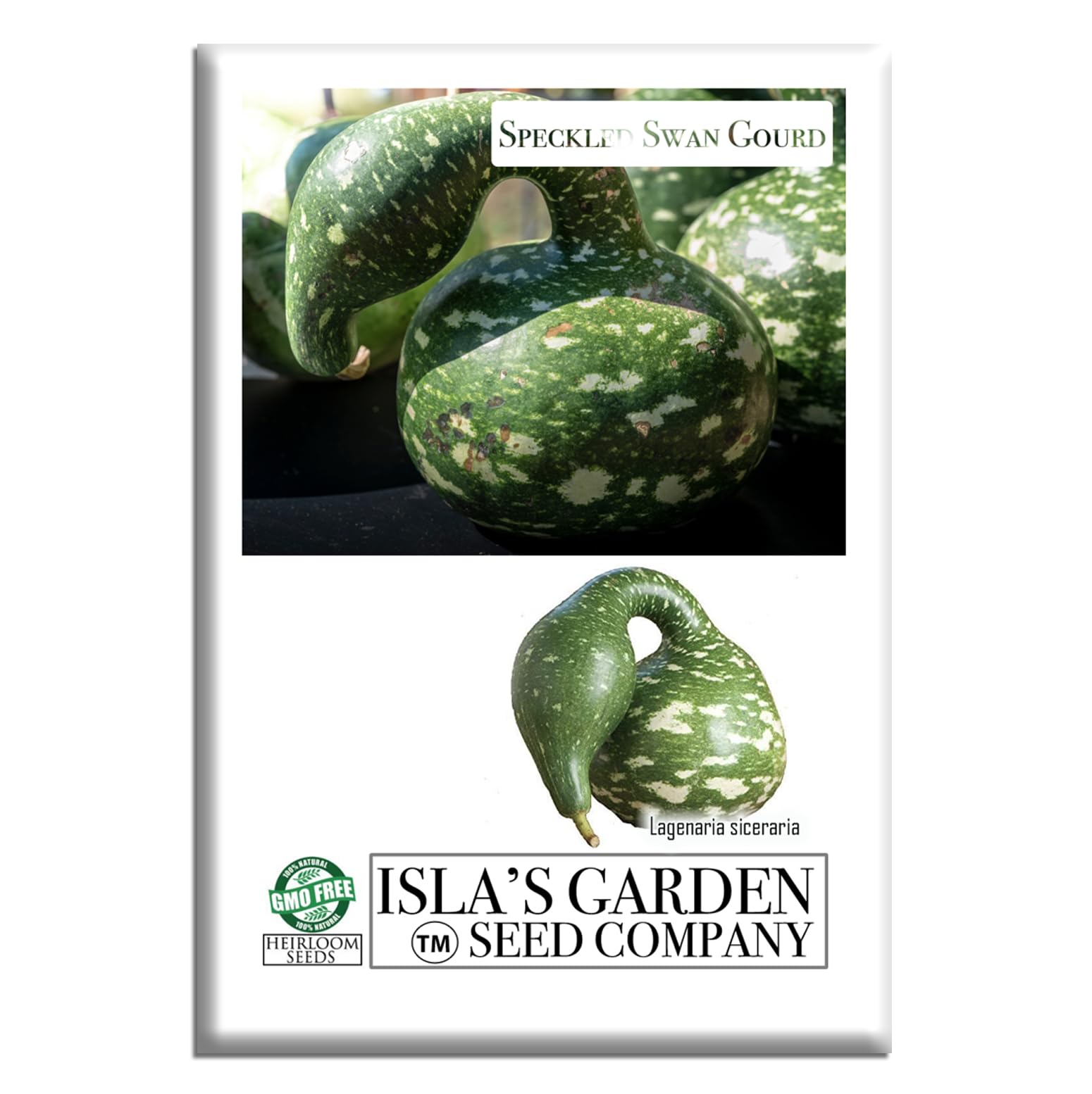 Speckled Swan Gourd Seeds (Lagenaria siceraria 'Speckled Swan') –15 Non-GMO Heirloom Seeds by Isla’s Garden Seeds, Unique Swan-Like Shape w/Decorative Speckles, Ideal for Crafts, Fall Displays & More