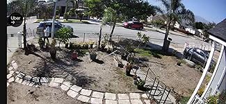 Review Image by Jose Silva Jose Silva