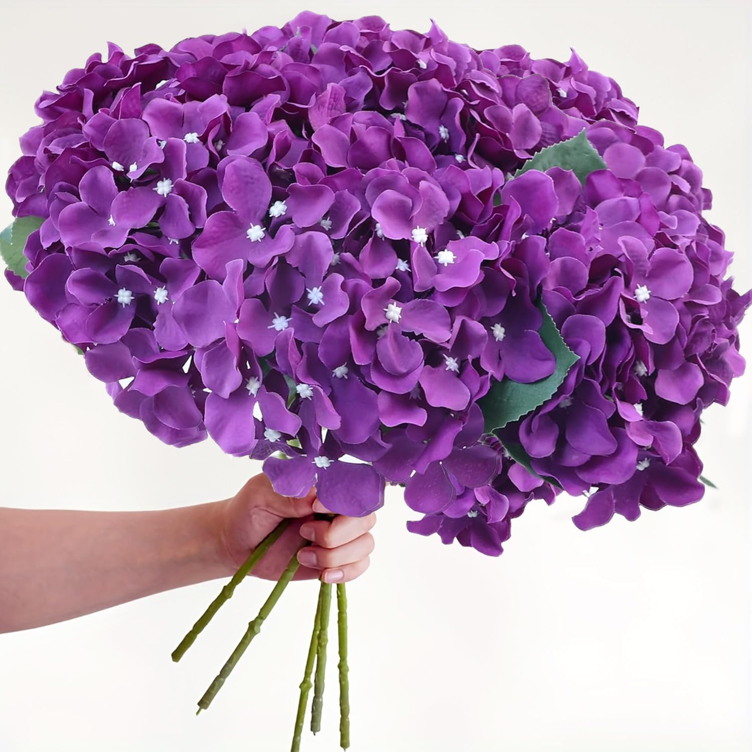 ♡aromantic hydrangea♡ Cottage Farms 1-Piece Romance Purple Floral Hydrangea on QVC