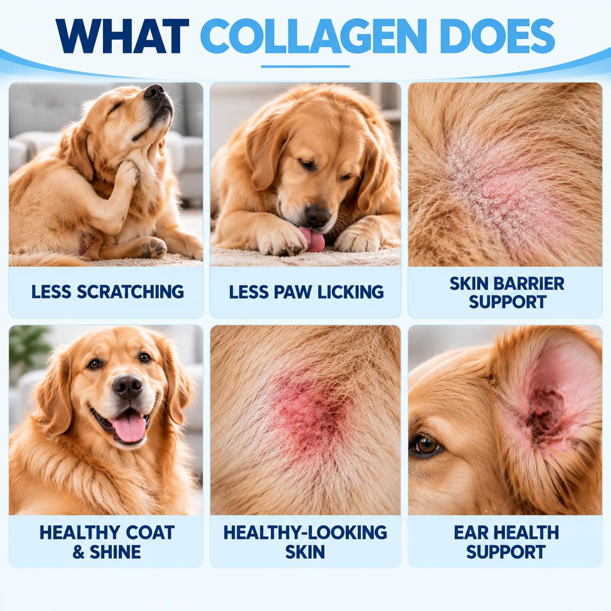 Premium Liquid Collagen for Dogs, Hydrolyzed Collagen Supplement for Skin & Coat, Skin Barrier & Ear Wellness Support, with MSM, Hyaluronic Acid & Vitamin C, 2 Fl Oz — Amazon image 3
