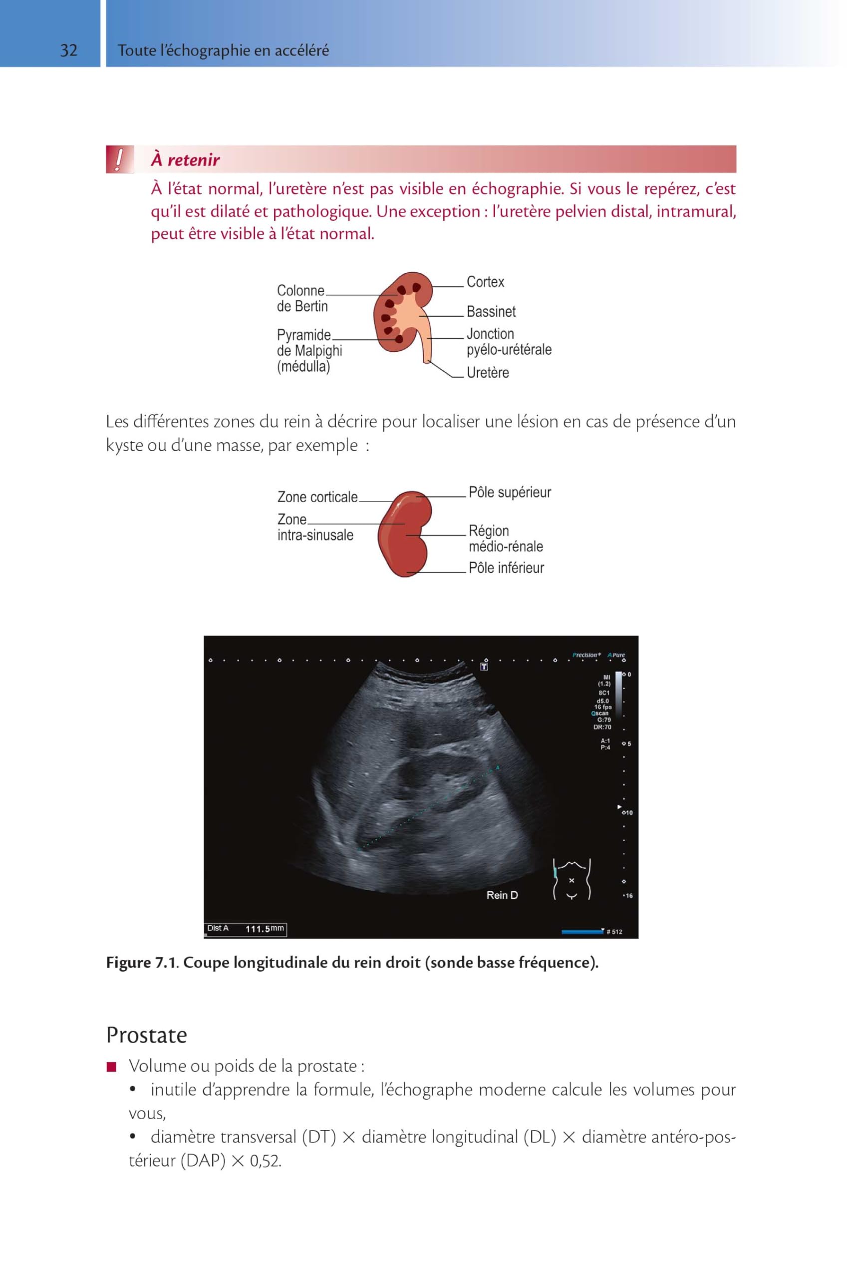 L'échographie pour tous : apprentissage accéléré: De l'échoscopie à l'échographie d'expert