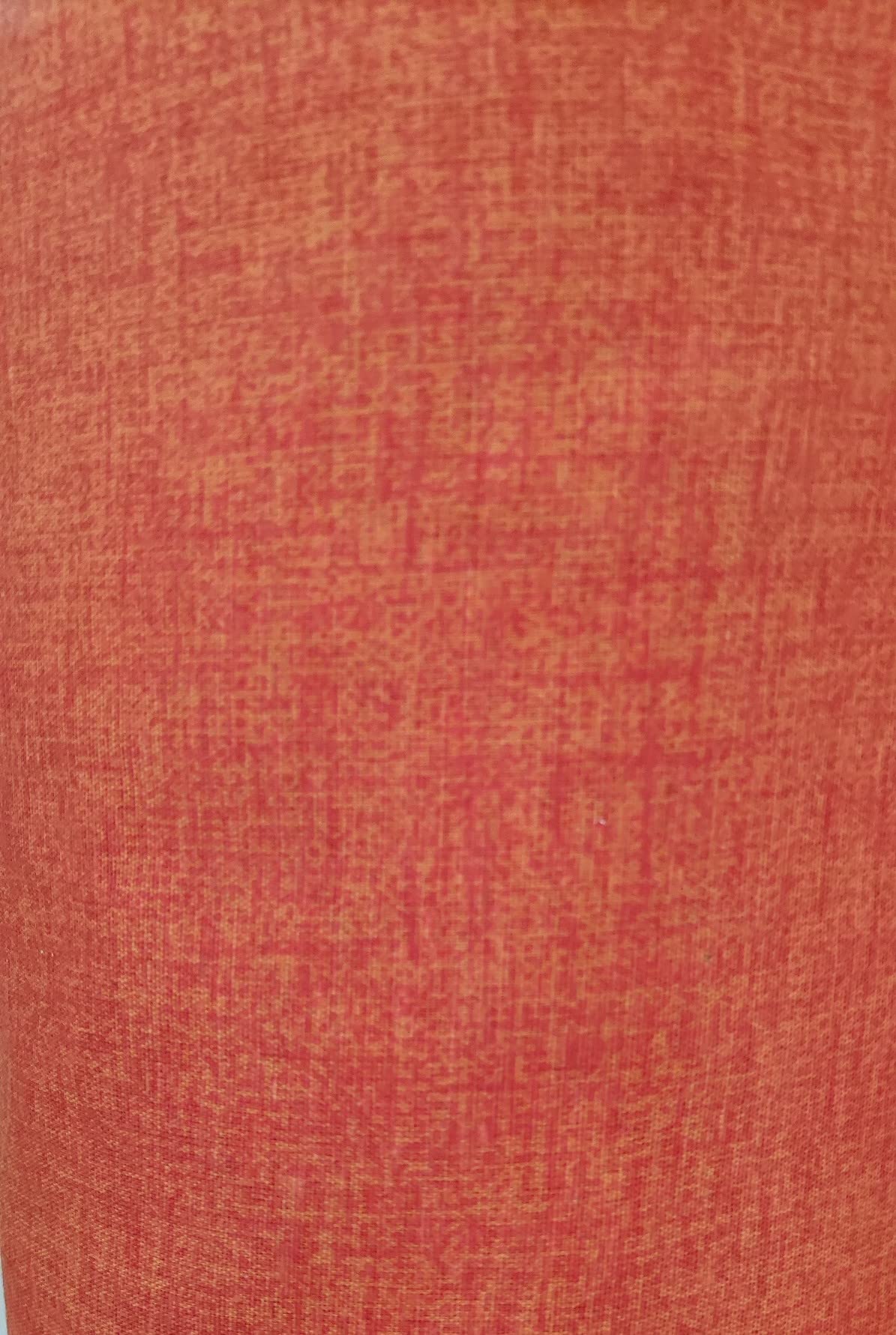 Generico Cuscino per Lettino Prendisole sfoderabile Laccetti Laterali Tinta Unita 59x190