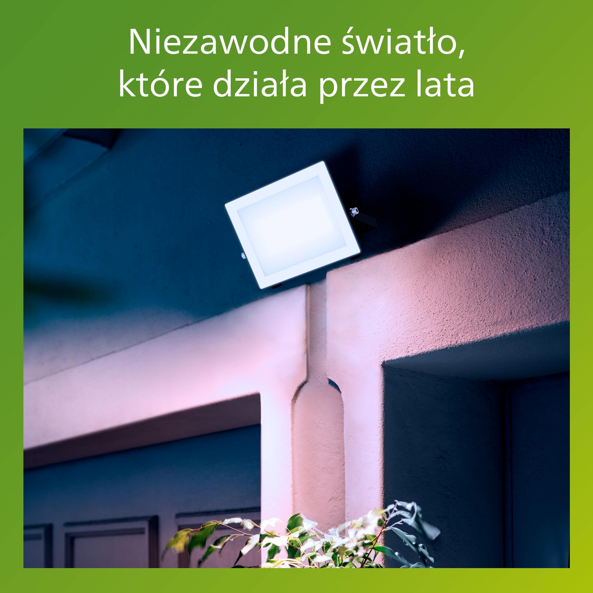 Philips Lois Zewnętrzna Lampa Floodlight, 50 W, 5000 K, Czarna