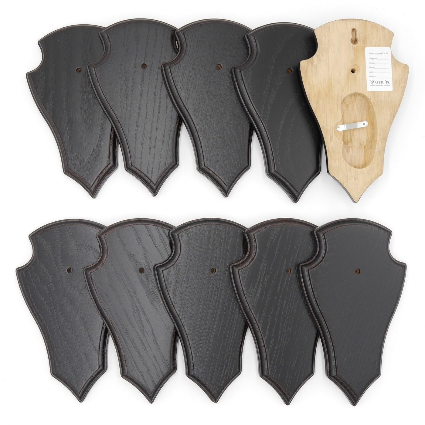 GTK - Geweihe & Trophäen KRUMHOLZ 10 placas de trofeo en forma de corzo pequeño roble oscuro AF 19 cm x 11 cm con 1 compartimento de pino