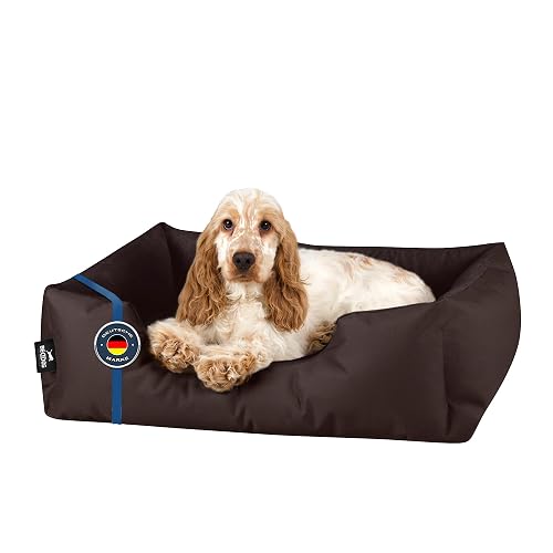 BedDog Zara Cama para Perros Pequeños S, Colchón, Colchoneta Cómoda, Terciopelo de Microfibra y Cordura