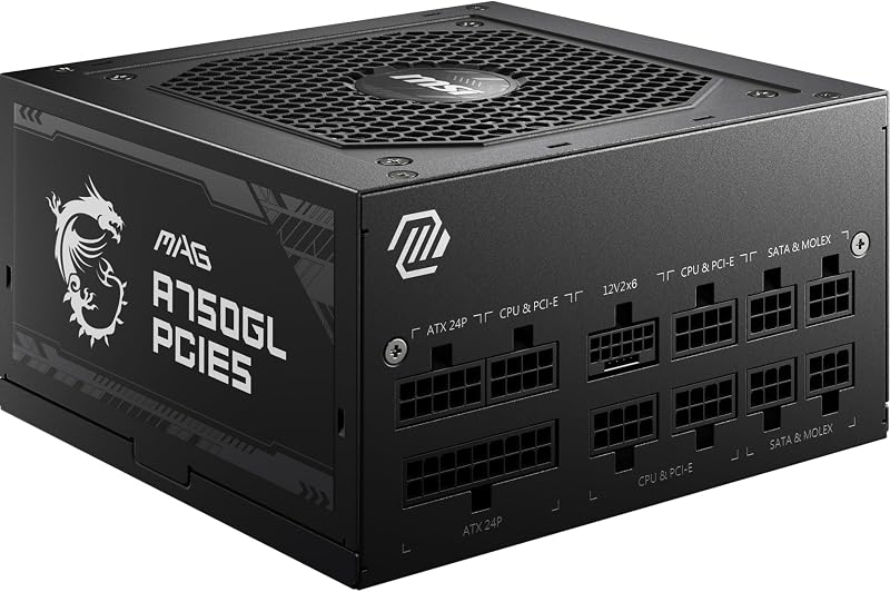 MSI MAG A750GL PCIE5 - EU Cord