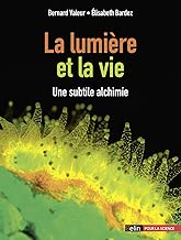 Download La Lumiere et la Vie - Une subtile alchimie PDF