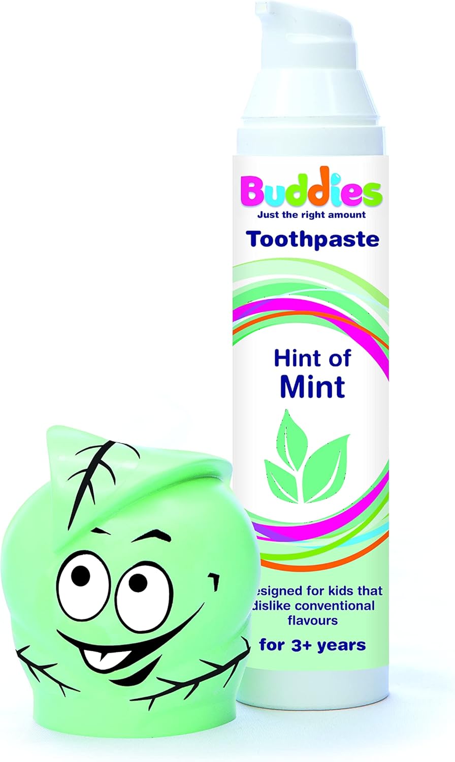 Buddies Toothpaste Hint of Mint Pump Dispenser Twin Pack 100ml x 2 mild