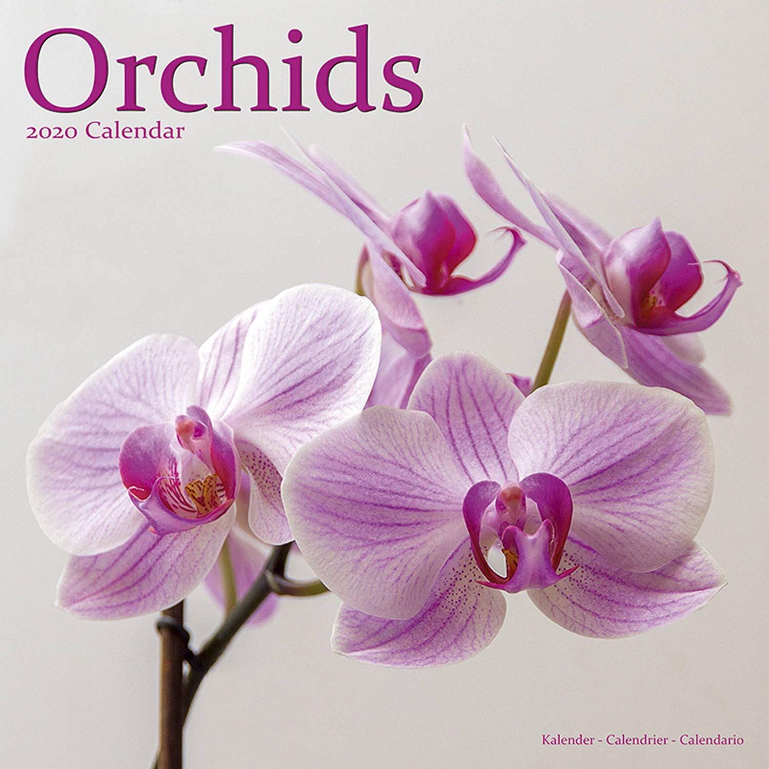 Garden Calendar - Flower Calendar - Orchids Calendar - Calendars 2019 - 2020 Wall Calendars - Orchids 16 Month Wall Calendar by Avonside
